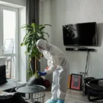 Specialized Cleaner Job person-cleaning-the-living-room